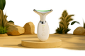 Beauty Facial Massager